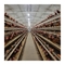 1 Jahr Garantie Schicht Hühnerkäfig Automatischer Trinker für mühelose Landwirtschaft